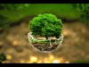 Green Campus - Sri Venkateshwaraa College of Engineering and Technology, Ariyur, Puducherry .
