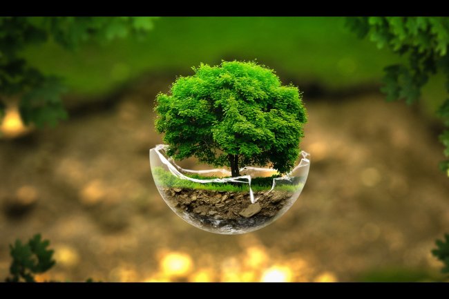 Green Campus - Sri Venkateshwaraa College of Engineering and Technology, Ariyur, Puducherry .