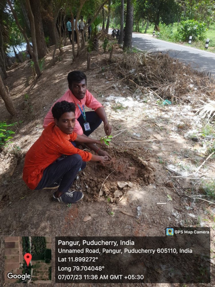 MeriLiFE: Massive Tree Plantation and Van Mahotsav celebration 1 Jul, 2023 – Fri, 7 Jul, 2023