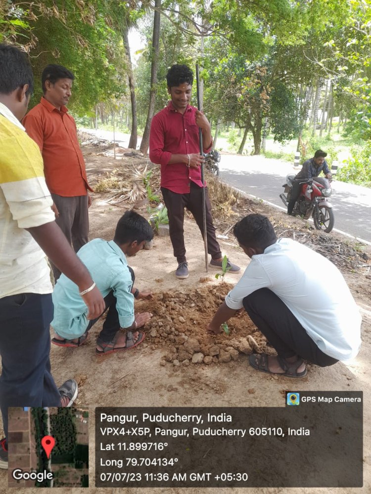 MeriLiFE: Massive Tree Plantation and Van Mahotsav celebration 1 Jul, 2023 – Fri, 7 Jul, 2023
