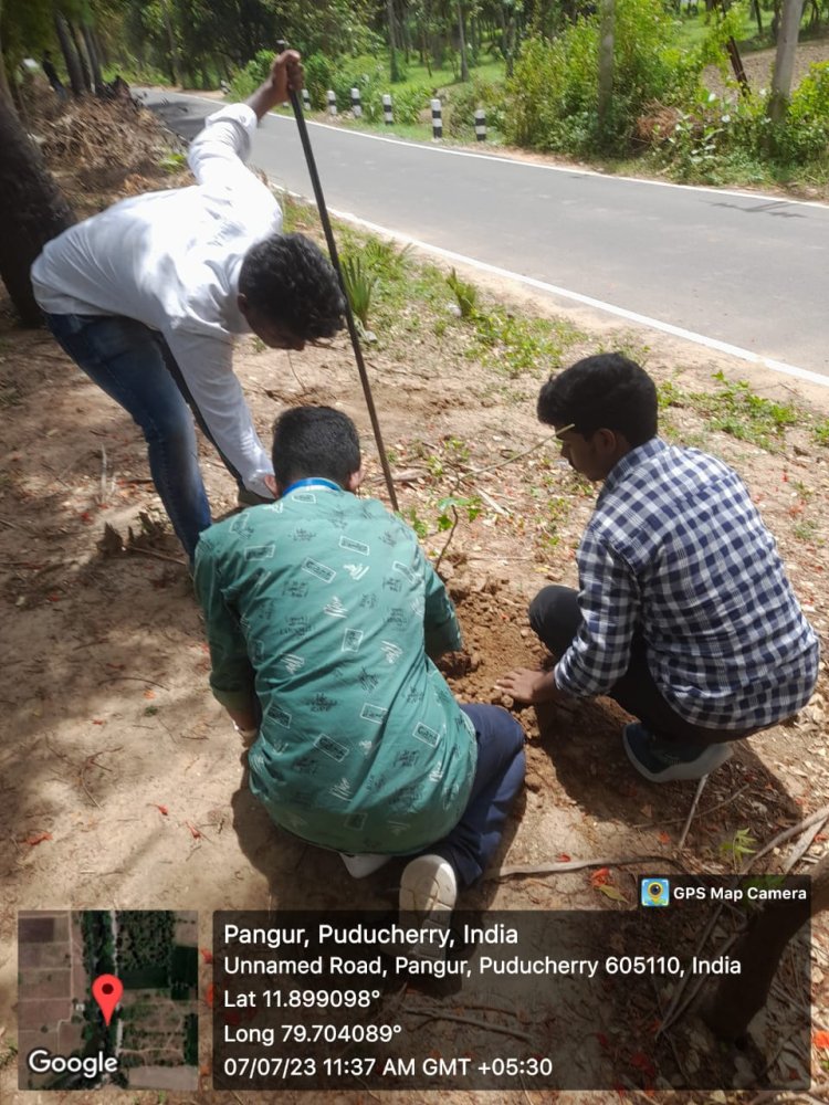 MeriLiFE: Massive Tree Plantation and Van Mahotsav celebration 1 Jul, 2023 – Fri, 7 Jul, 2023