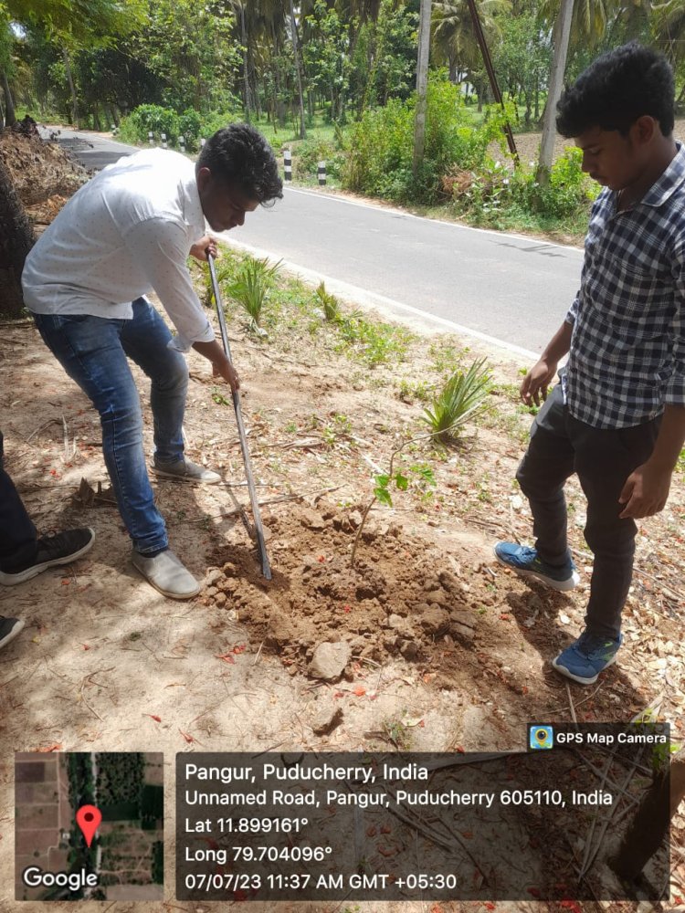MeriLiFE: Massive Tree Plantation and Van Mahotsav celebration 1 Jul, 2023 – Fri, 7 Jul, 2023